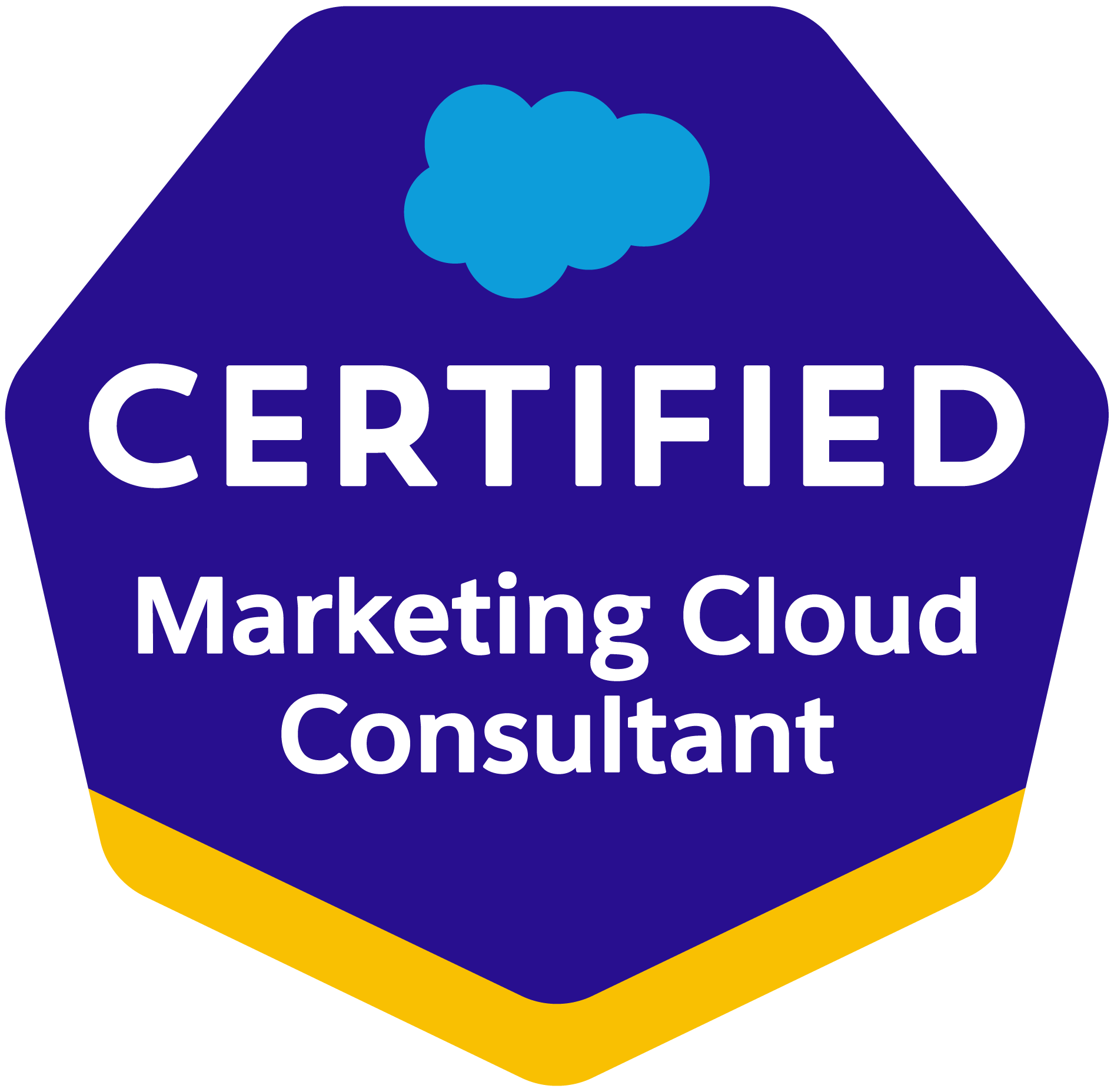 Salesforce Certified MC Consultant